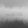 Pierrot & Zurlingo - Known Void - Single